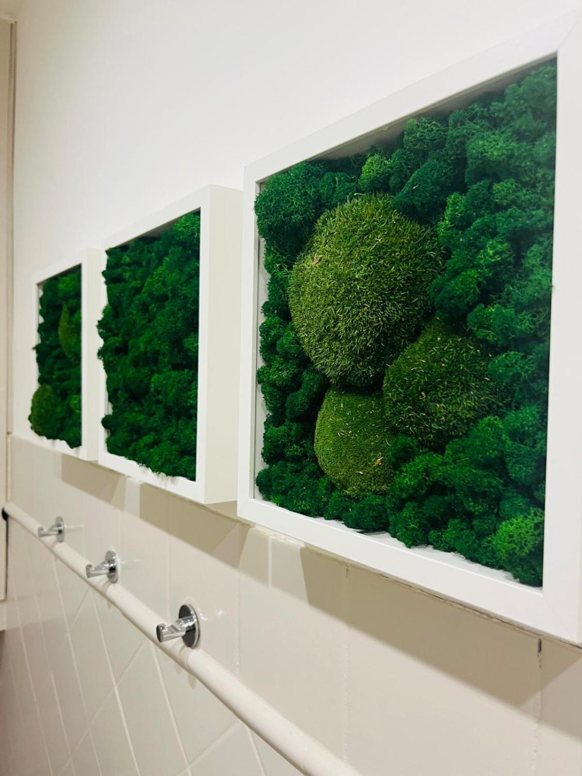 Barco Guest House フィレンツェ エクステリア 写真